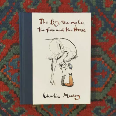 charlie-mackesy-the-boy-the-mole-the-fox-and-the-horse-2