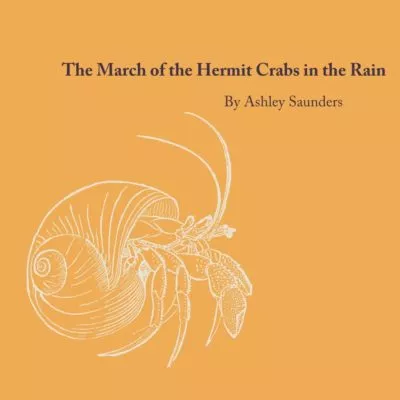 the-march-of-the-hermit-crabs-in-the-rain-bahamas